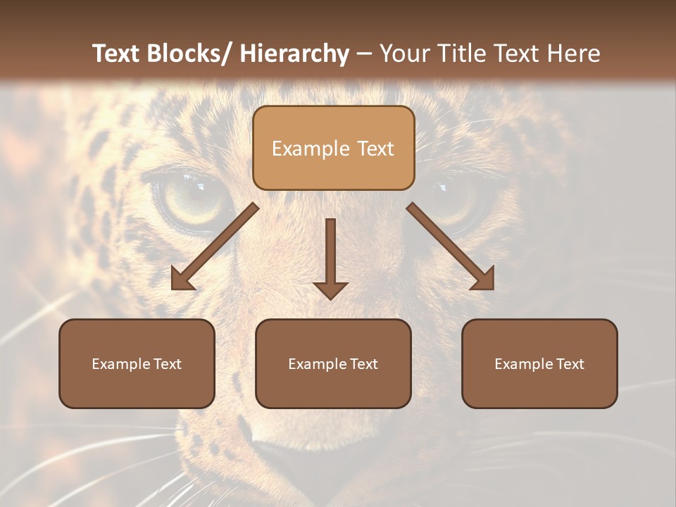 Wildlife Eye Hunter PowerPoint Template