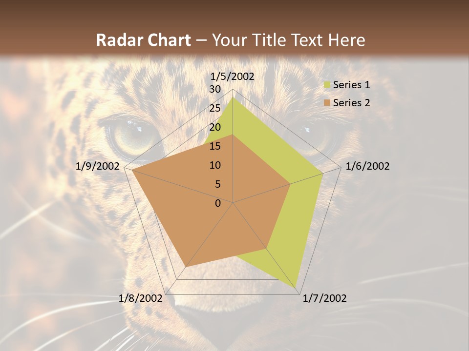 Wildlife Eye Hunter PowerPoint Template