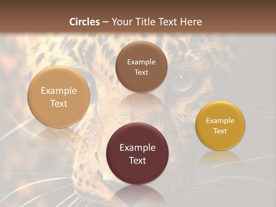 Wildlife Eye Hunter PowerPoint Template