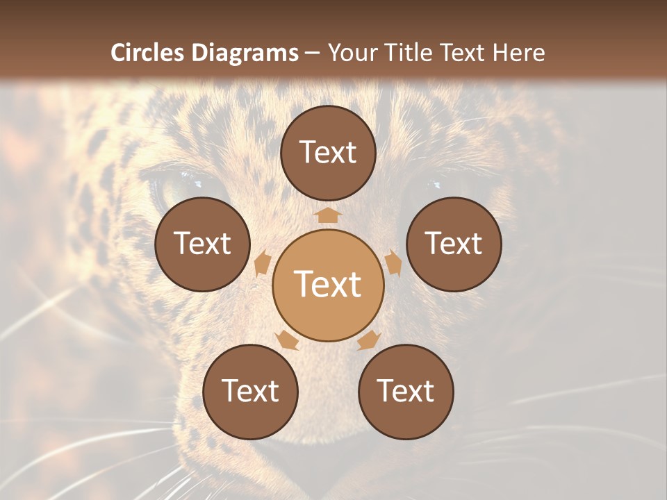 Wildlife Eye Hunter PowerPoint Template