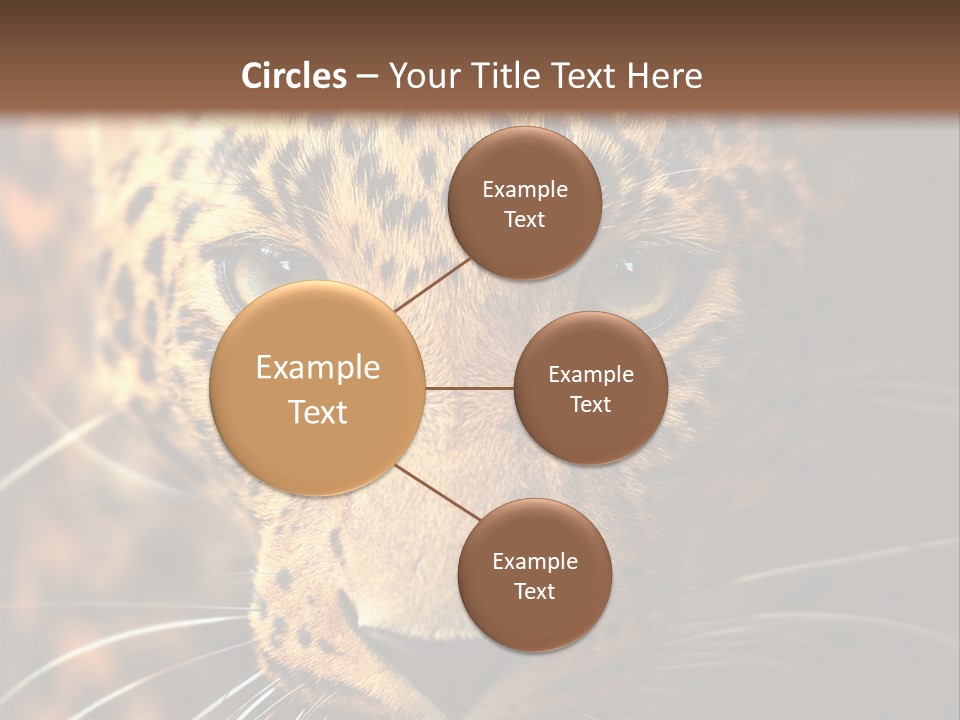 Wildlife Eye Hunter PowerPoint Template
