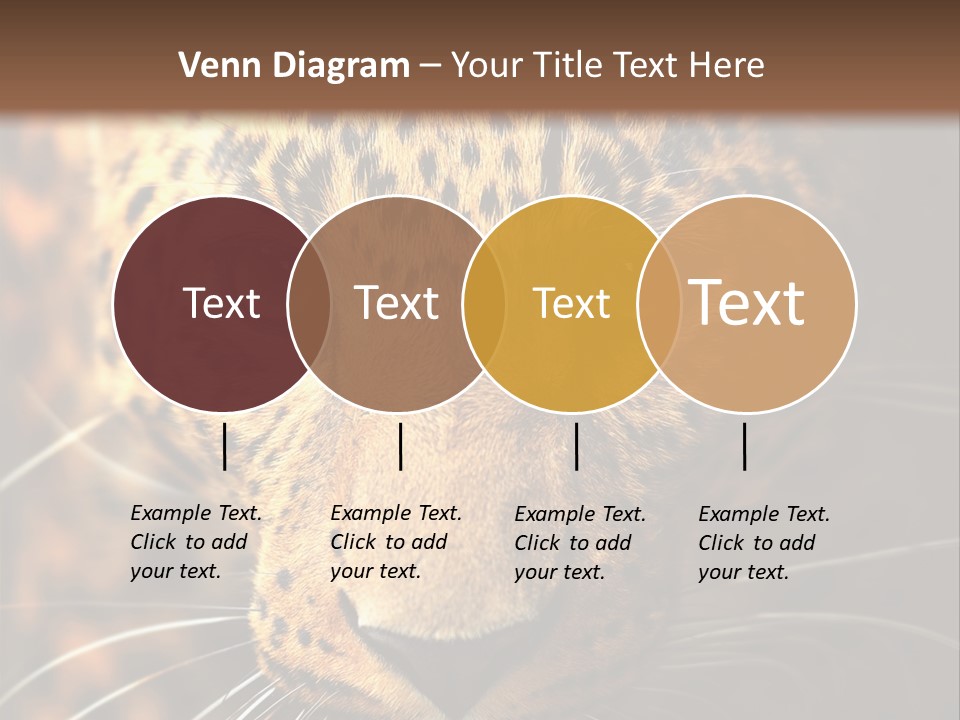 Wildlife Eye Hunter PowerPoint Template