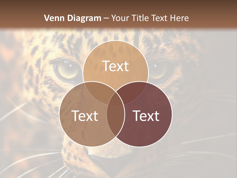 Wildlife Eye Hunter PowerPoint Template