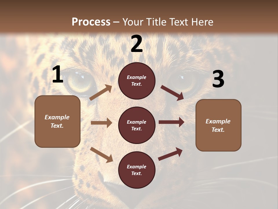Wildlife Eye Hunter PowerPoint Template
