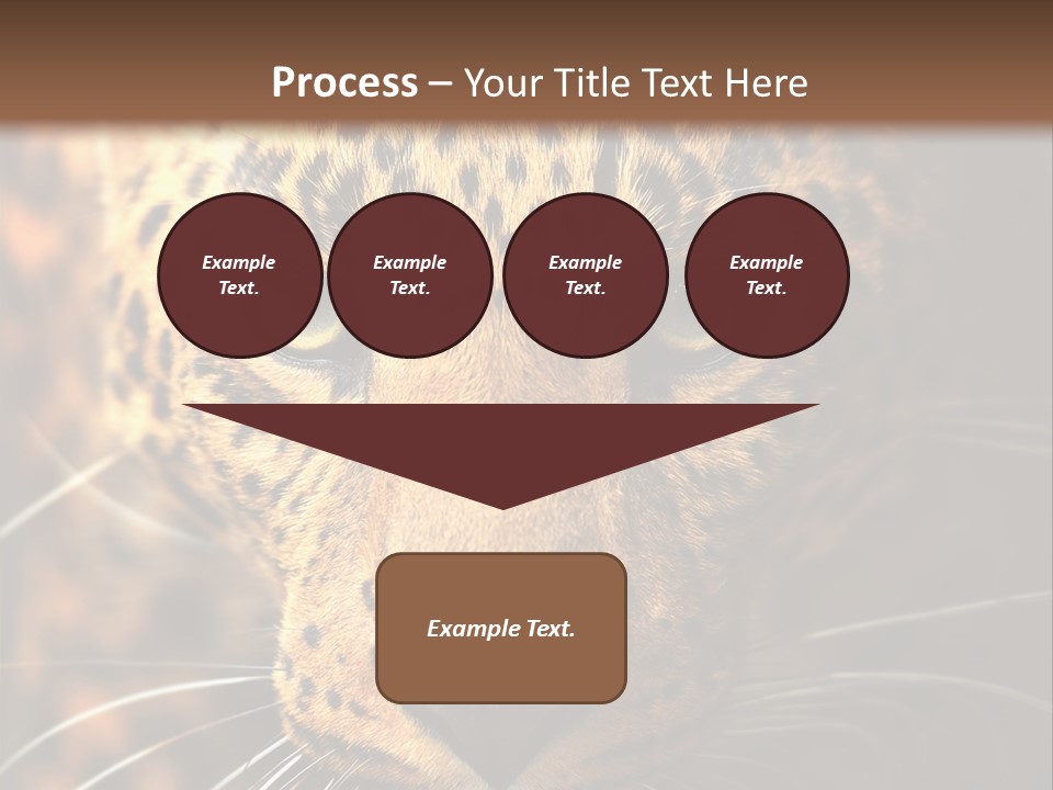 Wildlife Eye Hunter PowerPoint Template
