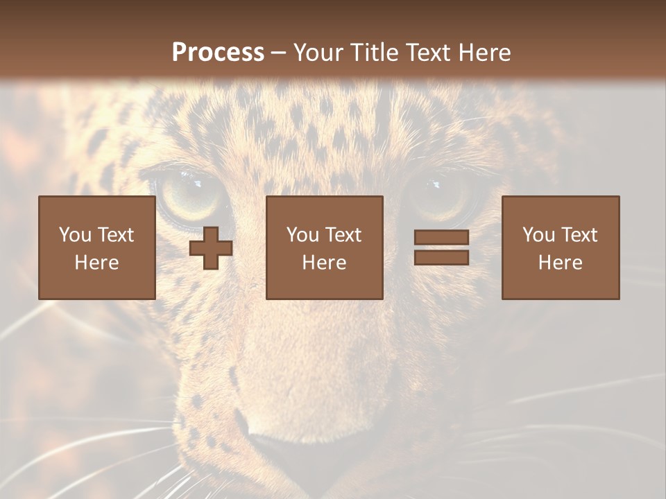 Wildlife Eye Hunter PowerPoint Template
