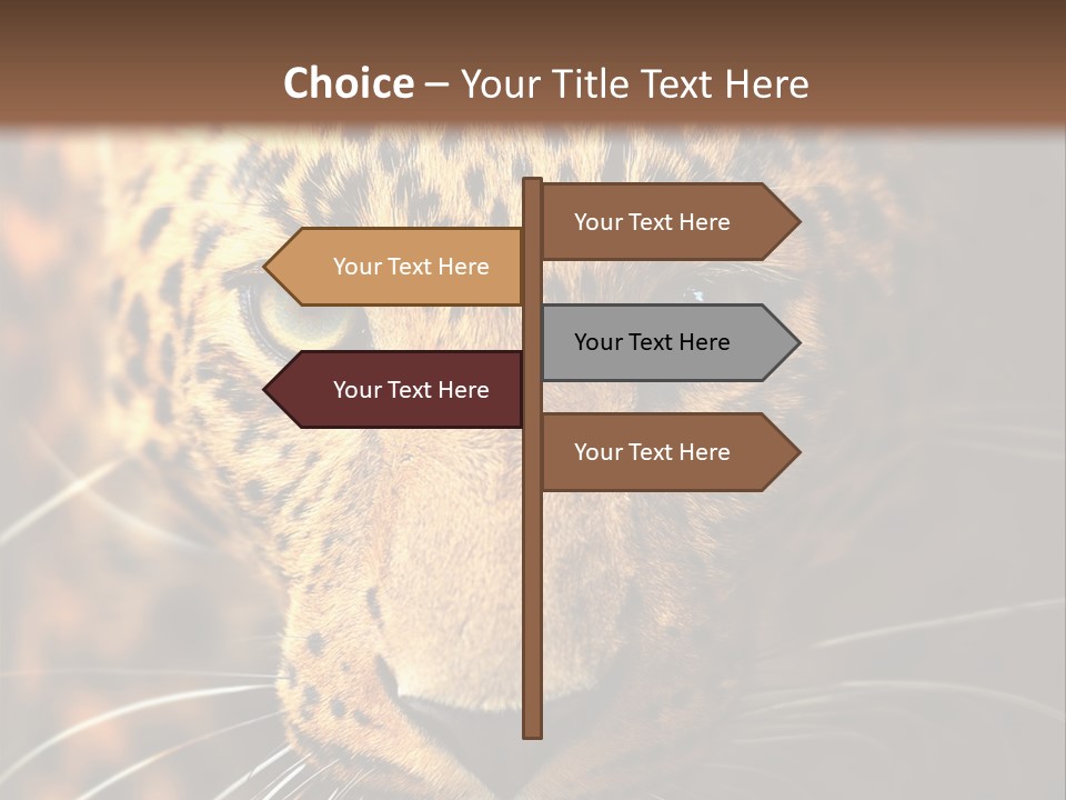 Wildlife Eye Hunter PowerPoint Template