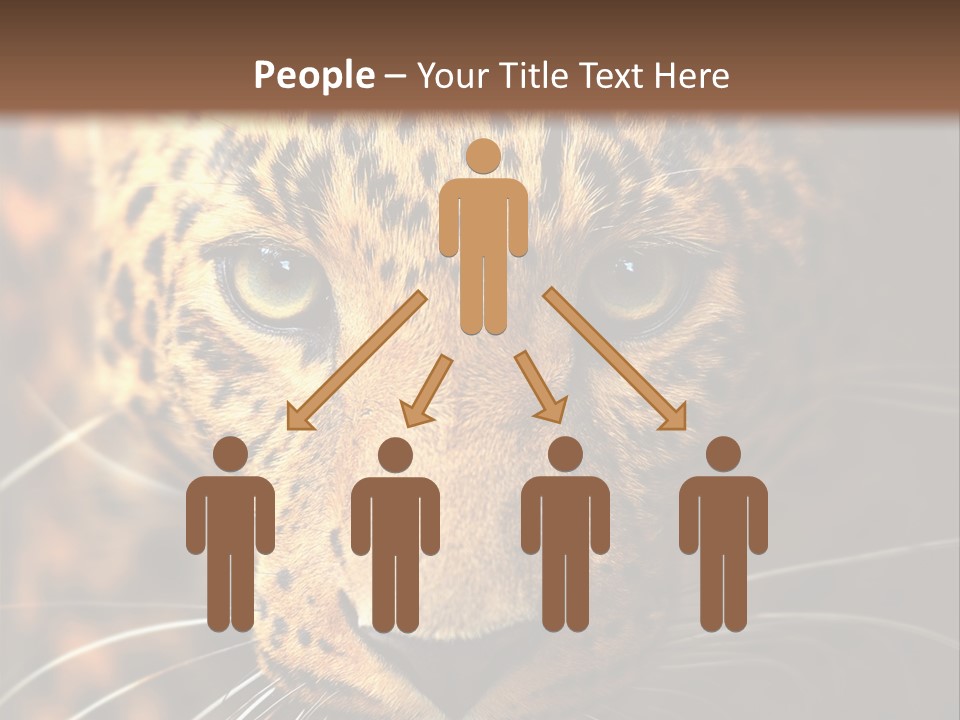 Wildlife Eye Hunter PowerPoint Template