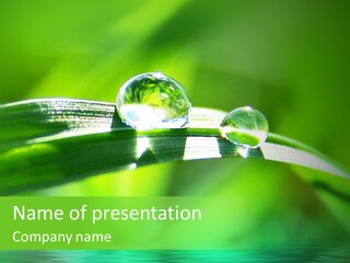 Liquid Backgrounds Area PowerPoint Template