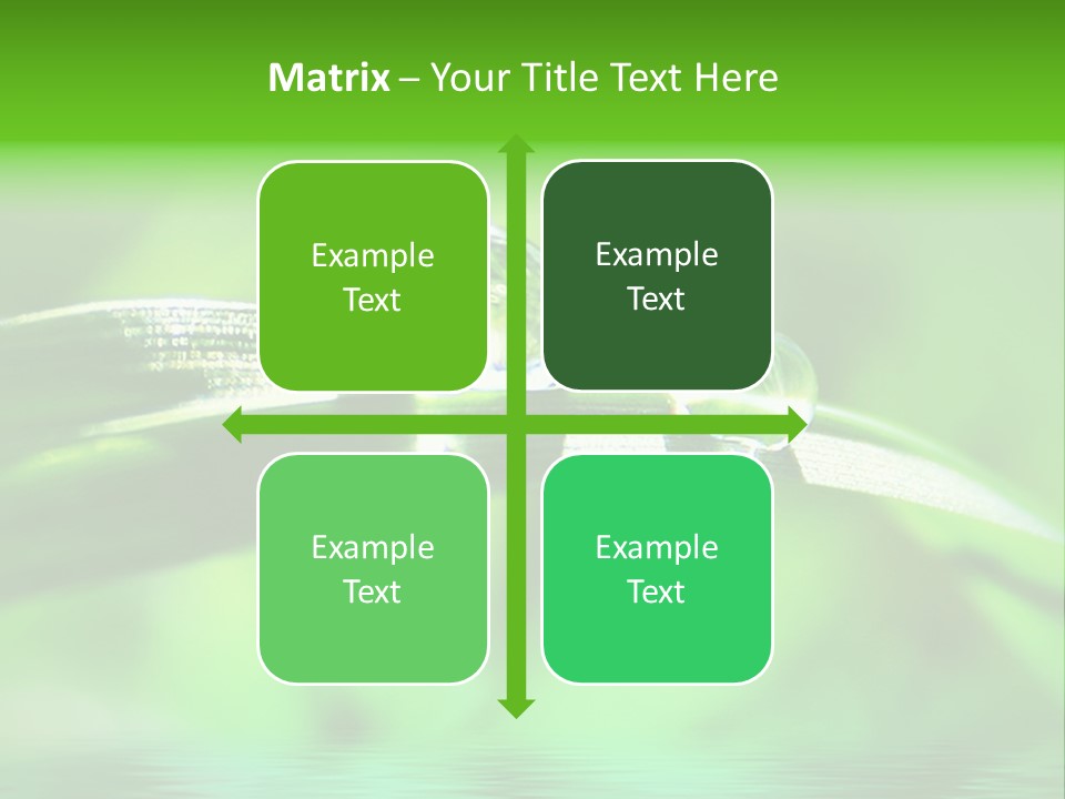 Liquid Backgrounds Area PowerPoint Template
