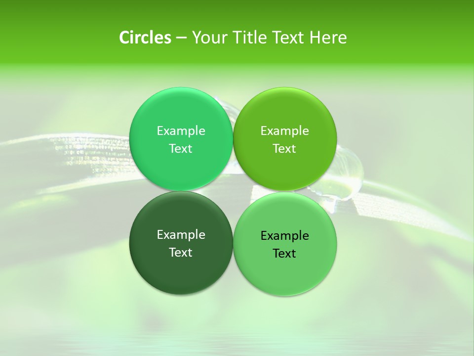 Liquid Backgrounds Area PowerPoint Template