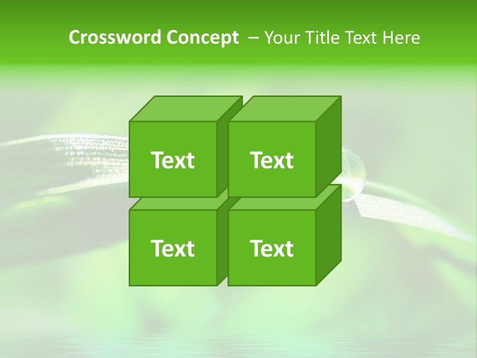 Liquid Backgrounds Area PowerPoint Template