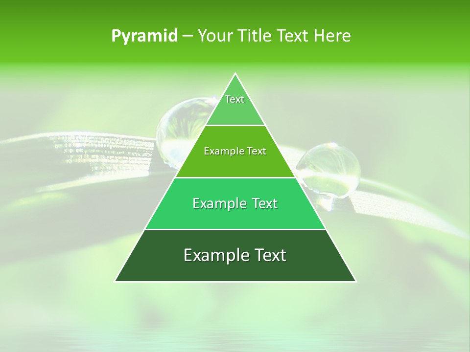 Liquid Backgrounds Area PowerPoint Template