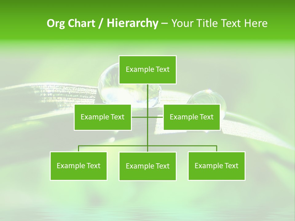 Liquid Backgrounds Area PowerPoint Template
