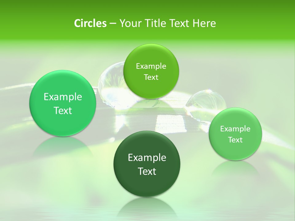 Liquid Backgrounds Area PowerPoint Template