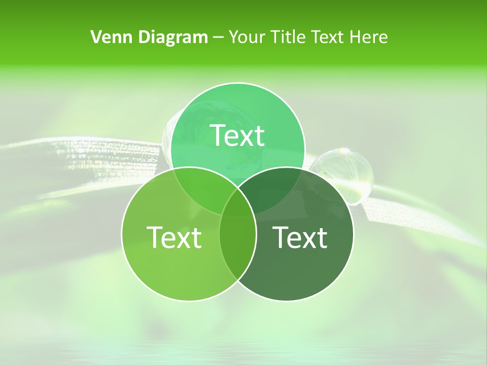 Liquid Backgrounds Area PowerPoint Template