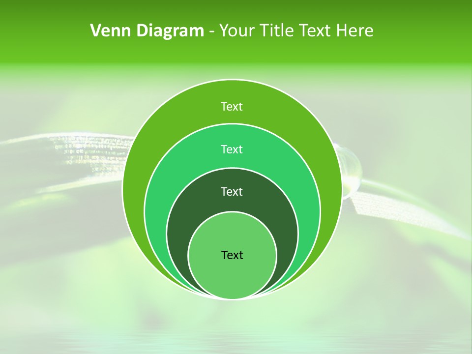 Liquid Backgrounds Area PowerPoint Template