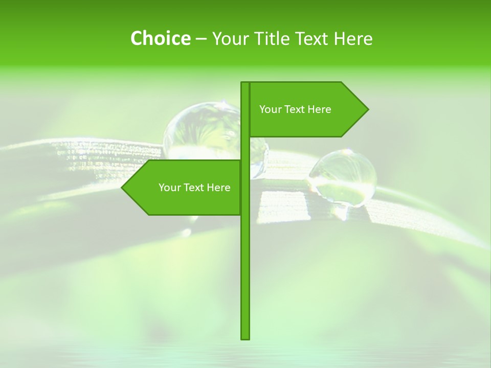 Liquid Backgrounds Area PowerPoint Template