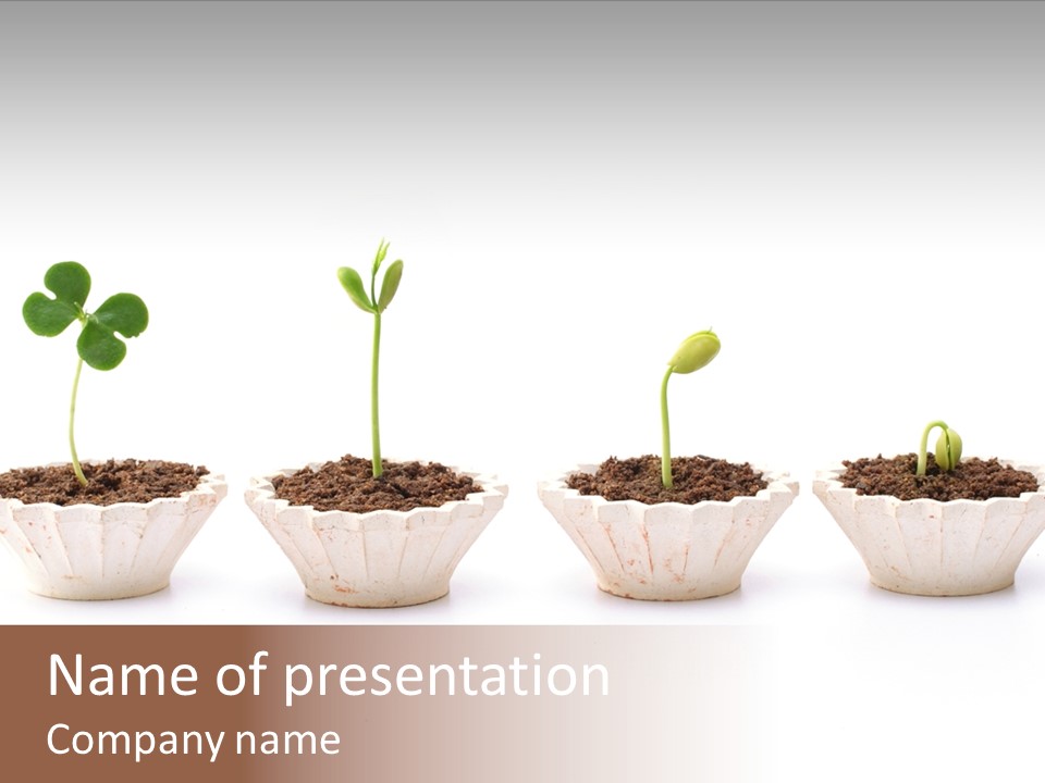 New Root Soil PowerPoint Template