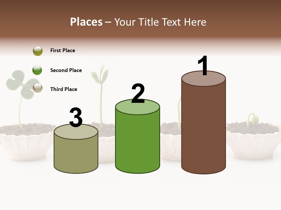 New Root Soil PowerPoint Template