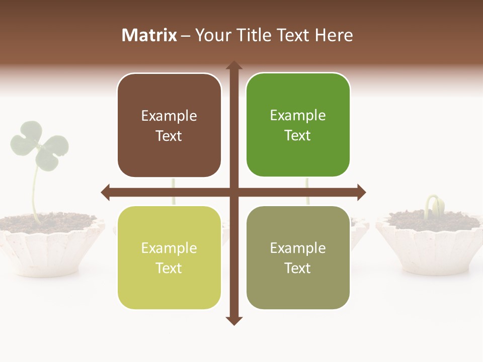 New Root Soil PowerPoint Template