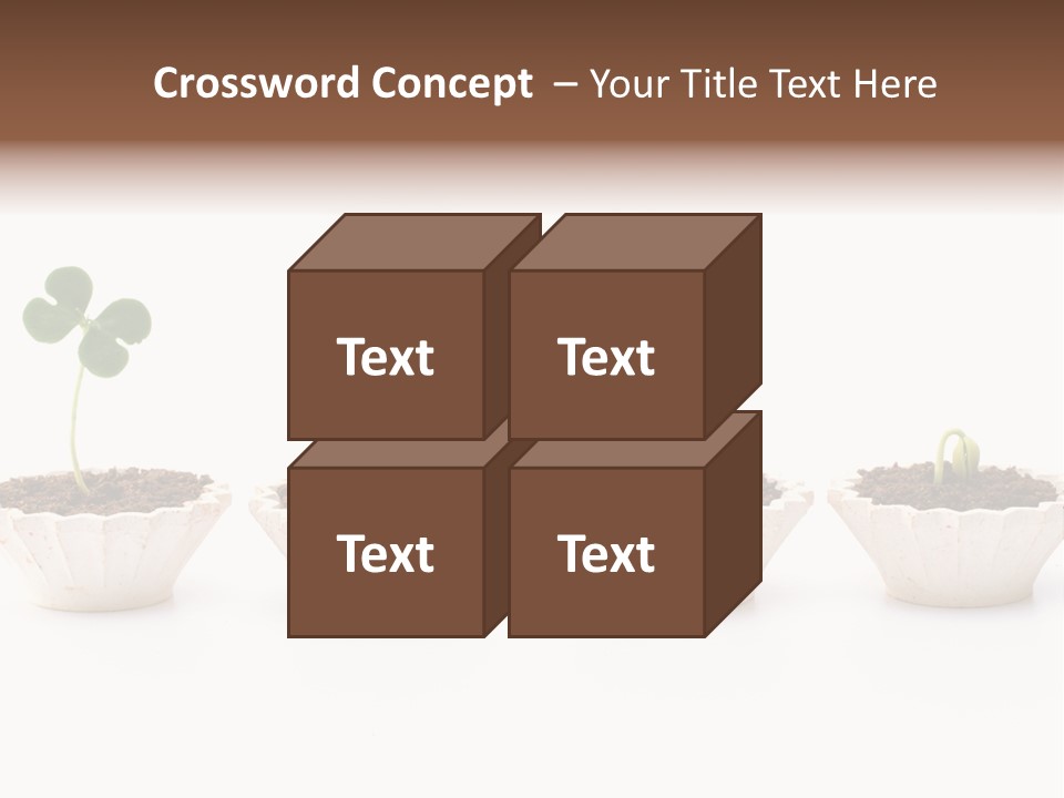 New Root Soil PowerPoint Template