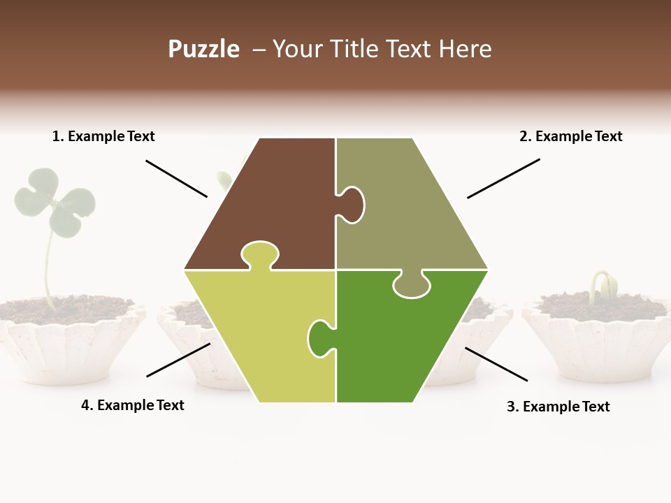 New Root Soil PowerPoint Template