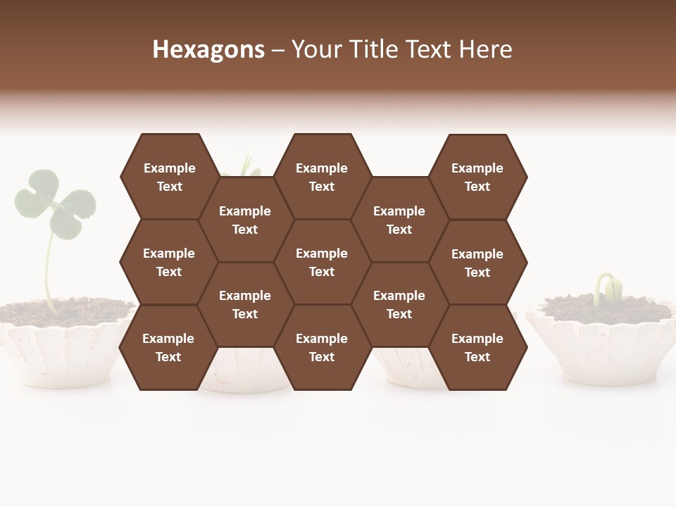 New Root Soil PowerPoint Template