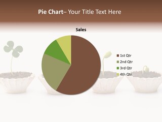 New Root Soil PowerPoint Template