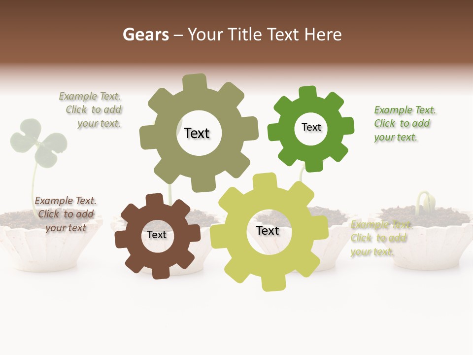 New Root Soil PowerPoint Template