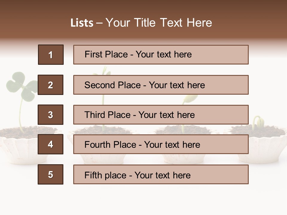 New Root Soil PowerPoint Template