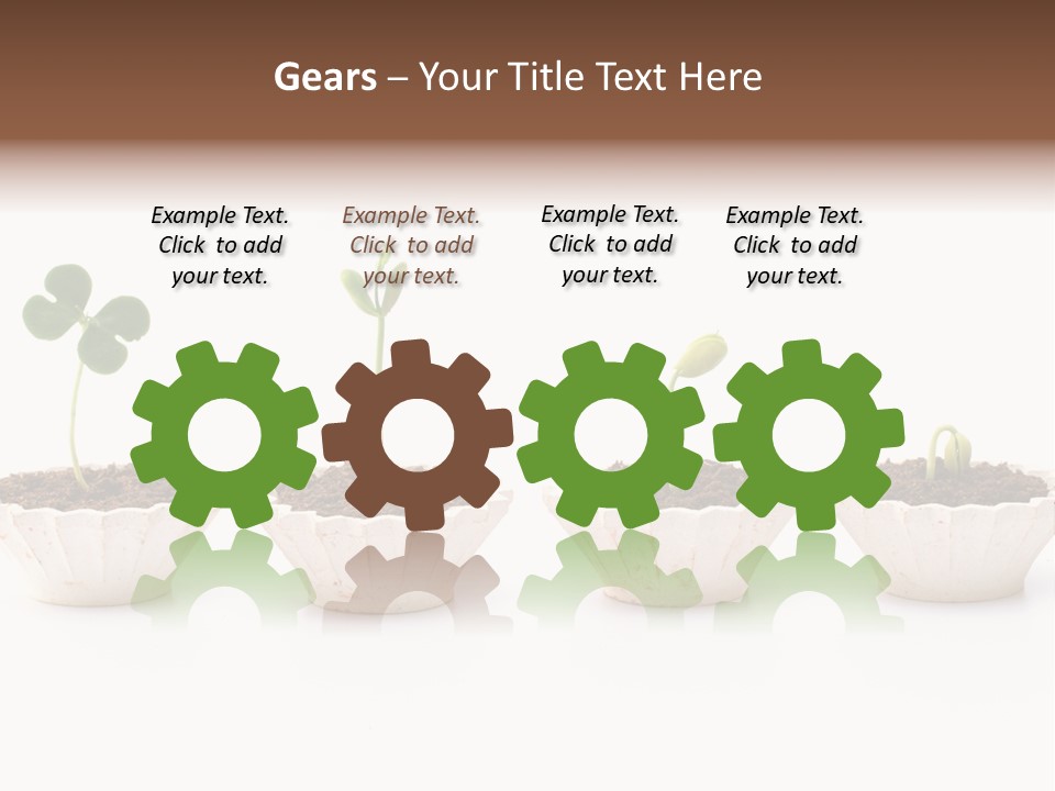 New Root Soil PowerPoint Template