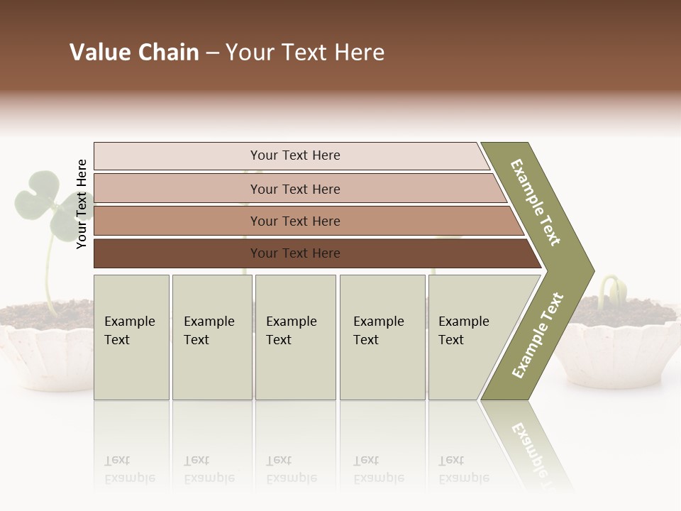 New Root Soil PowerPoint Template
