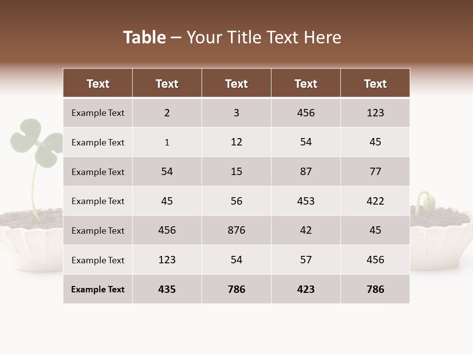 New Root Soil PowerPoint Template