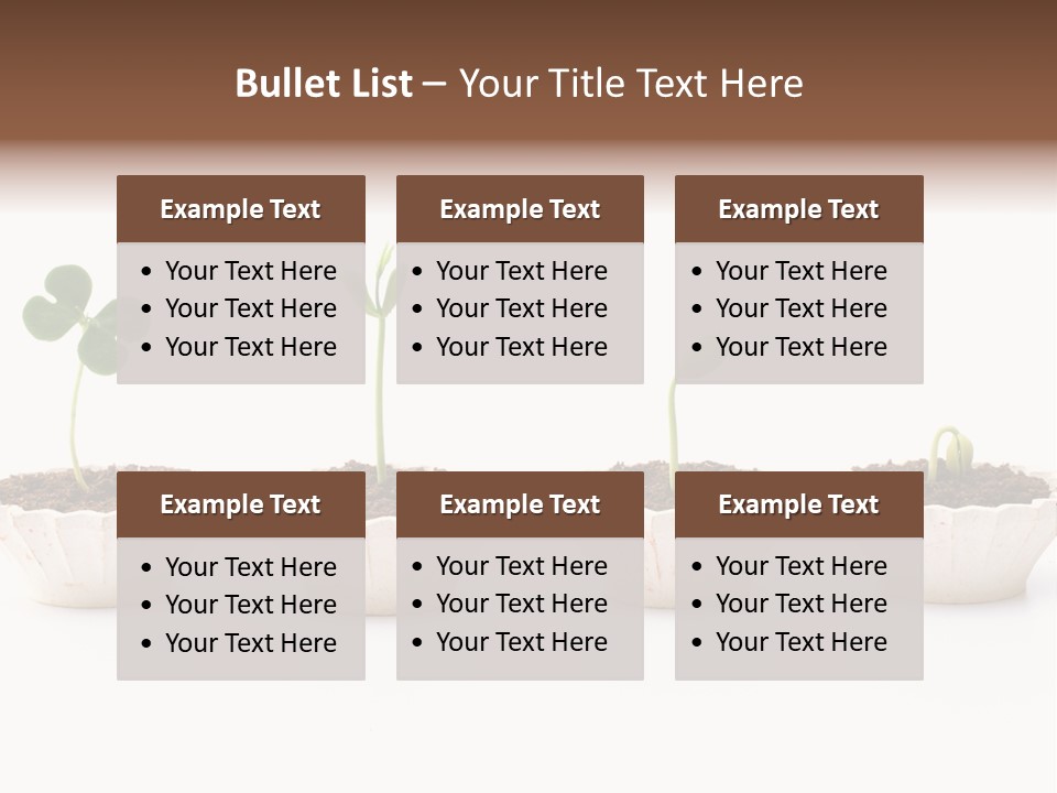 New Root Soil PowerPoint Template