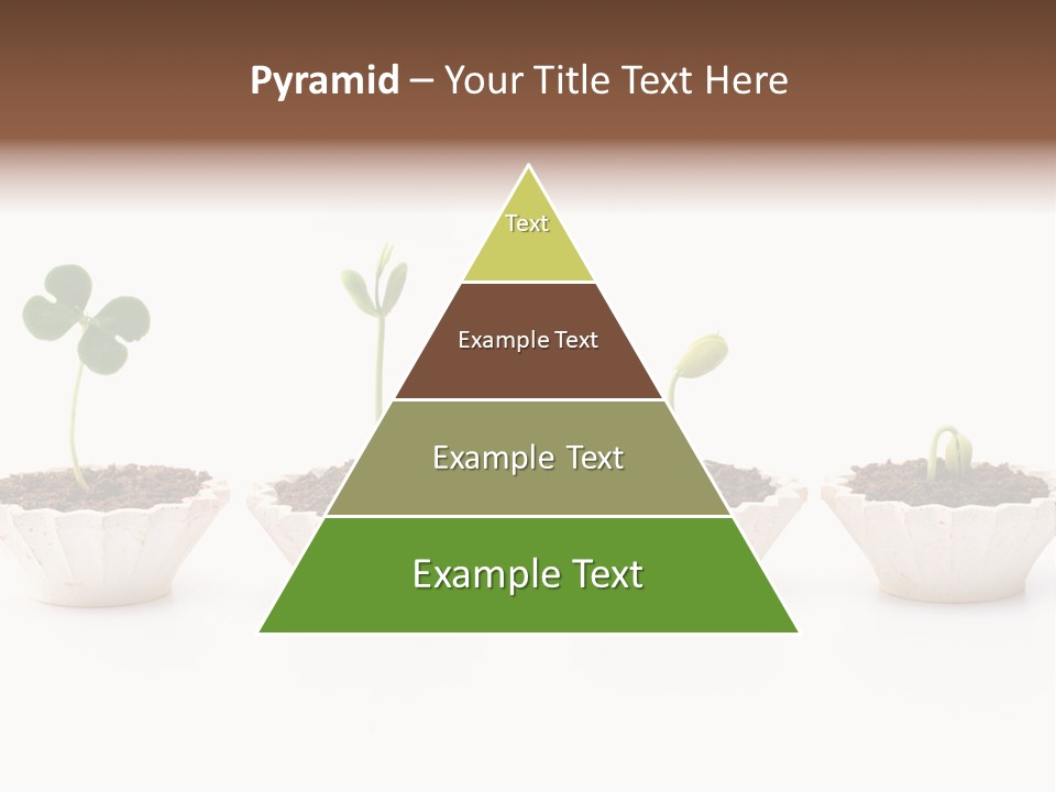 New Root Soil PowerPoint Template