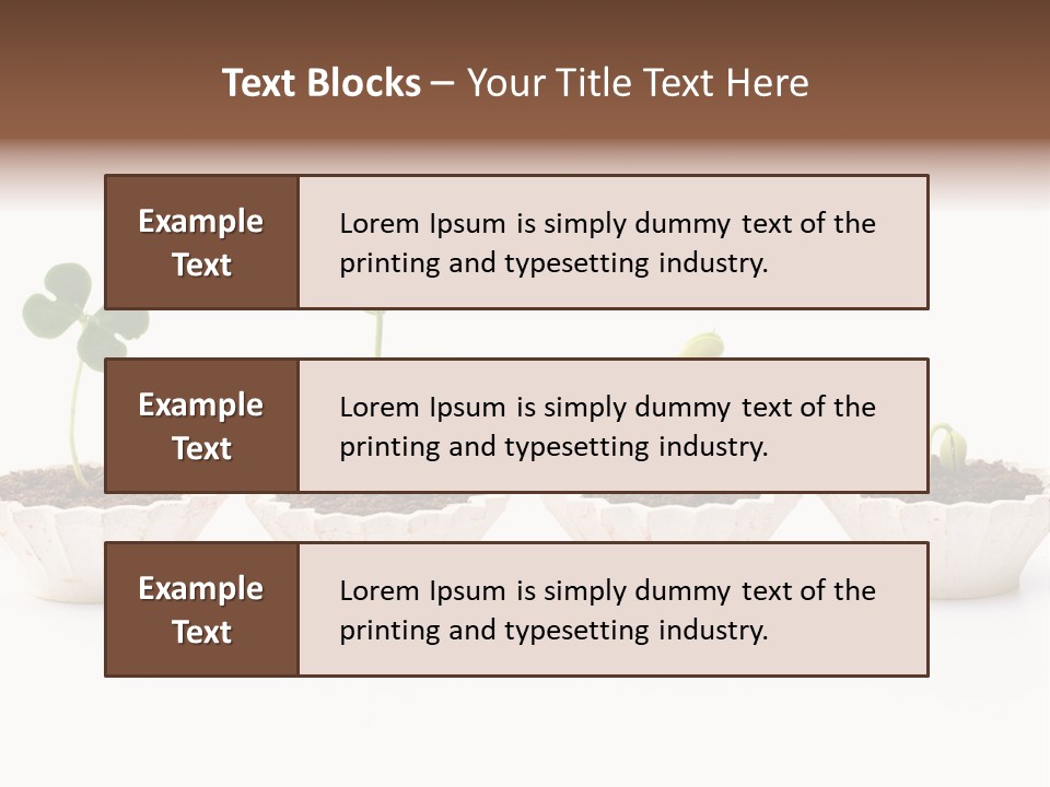 New Root Soil PowerPoint Template