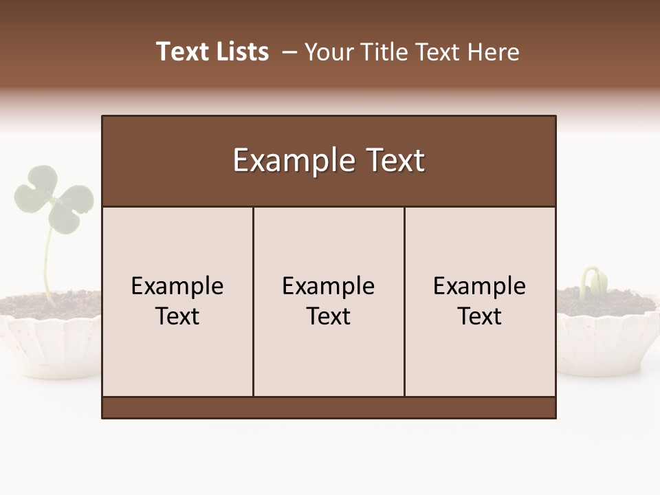New Root Soil PowerPoint Template
