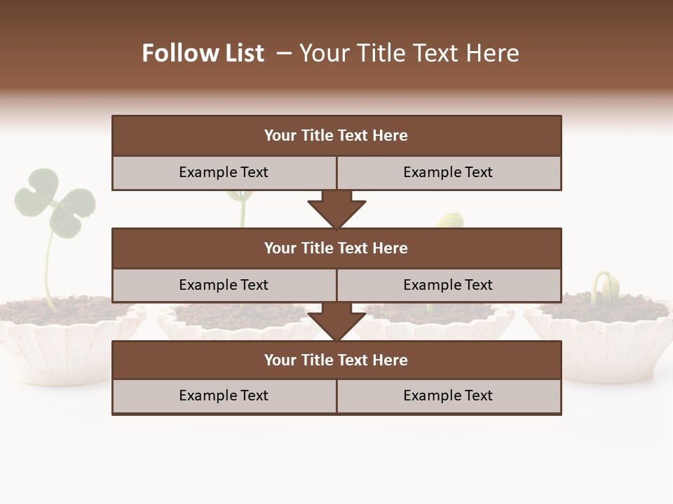 New Root Soil PowerPoint Template
