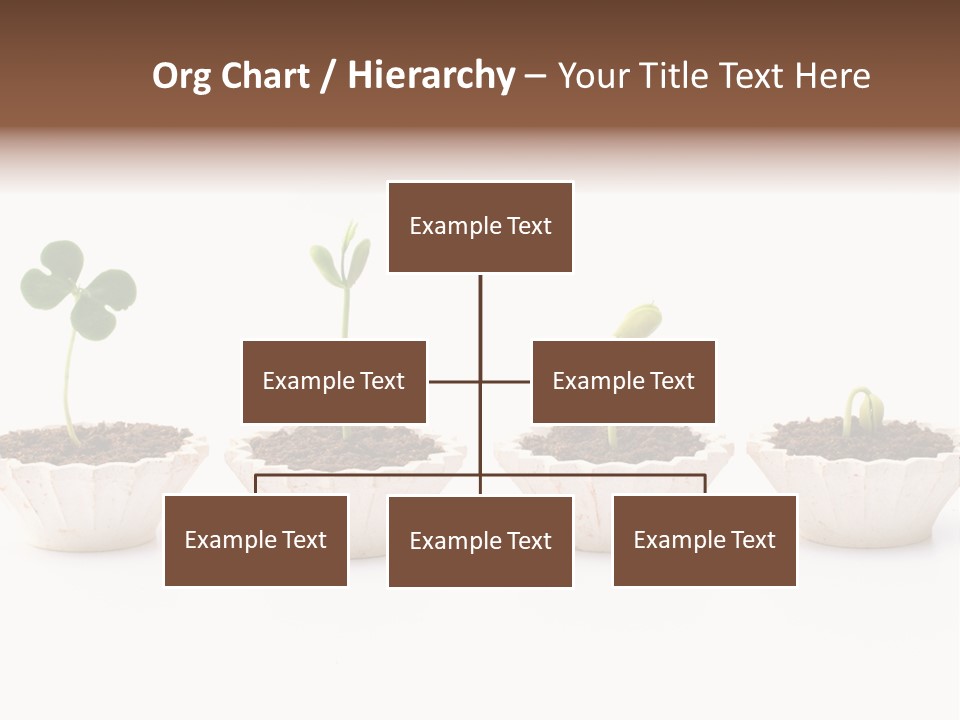 New Root Soil PowerPoint Template