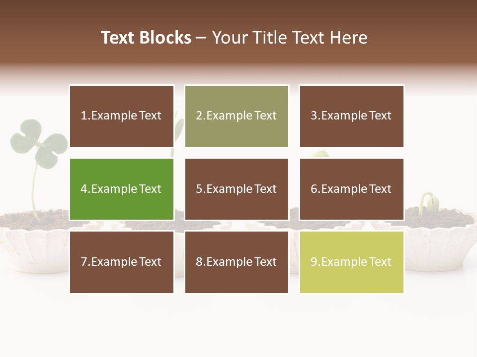 New Root Soil PowerPoint Template