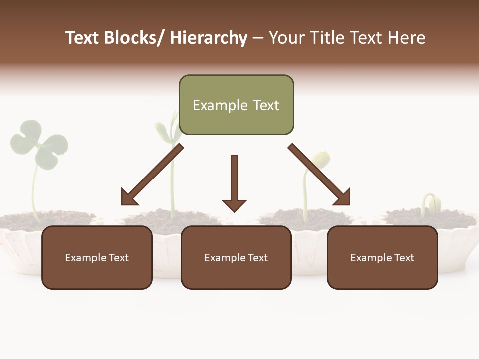 New Root Soil PowerPoint Template
