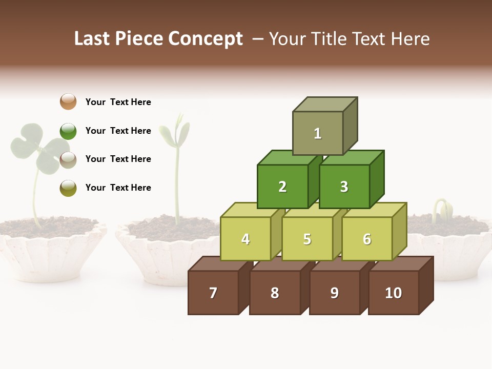 New Root Soil PowerPoint Template