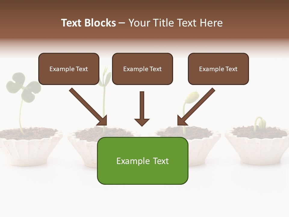 New Root Soil PowerPoint Template
