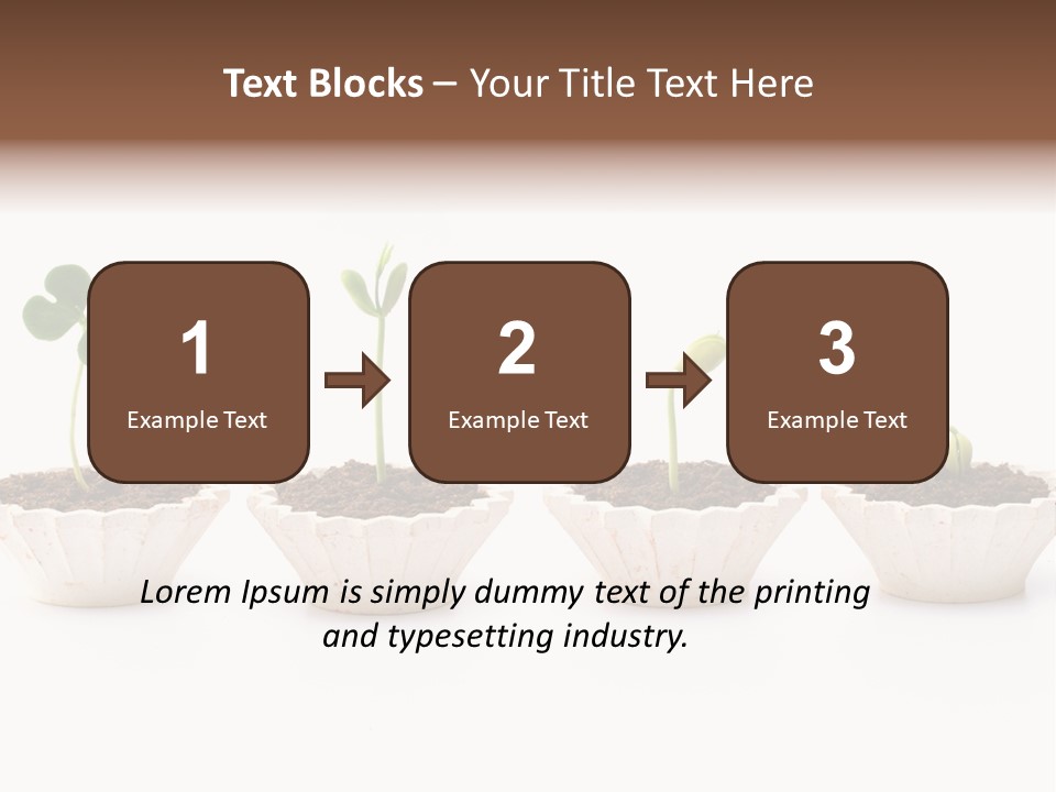New Root Soil PowerPoint Template