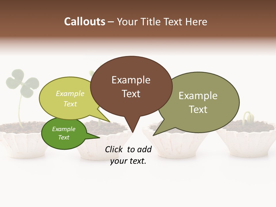 New Root Soil PowerPoint Template
