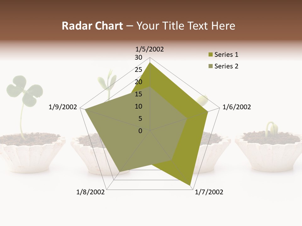 New Root Soil PowerPoint Template