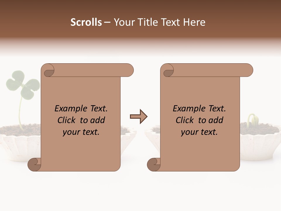 New Root Soil PowerPoint Template