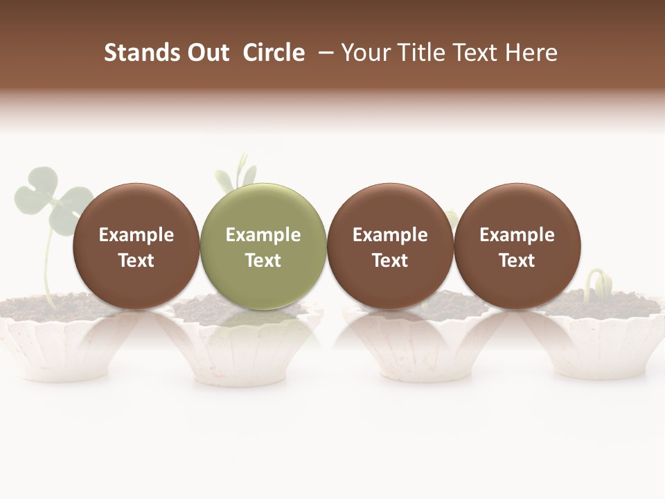 New Root Soil PowerPoint Template