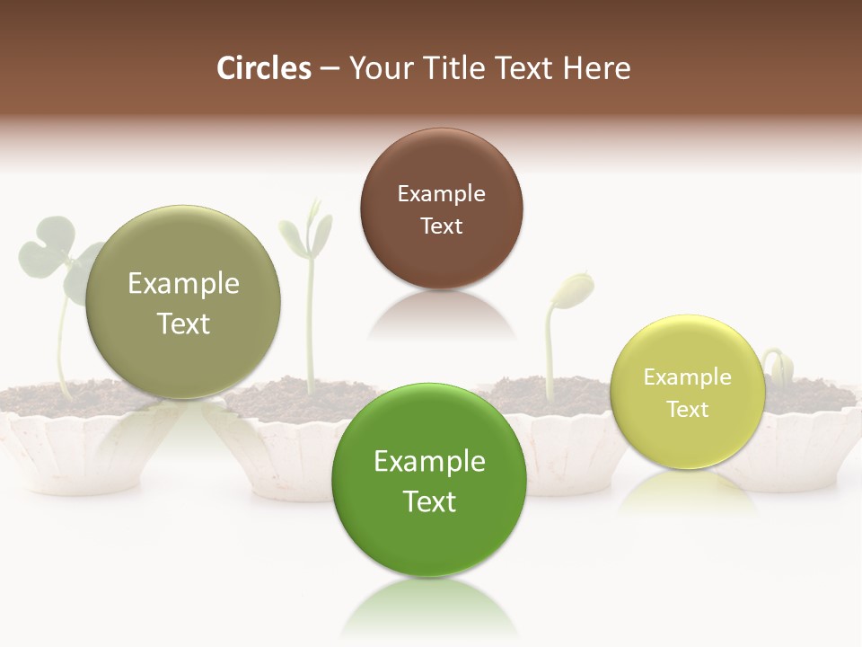 New Root Soil PowerPoint Template